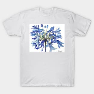 Blue Agapanthus Flower watercolour Painting T-Shirt